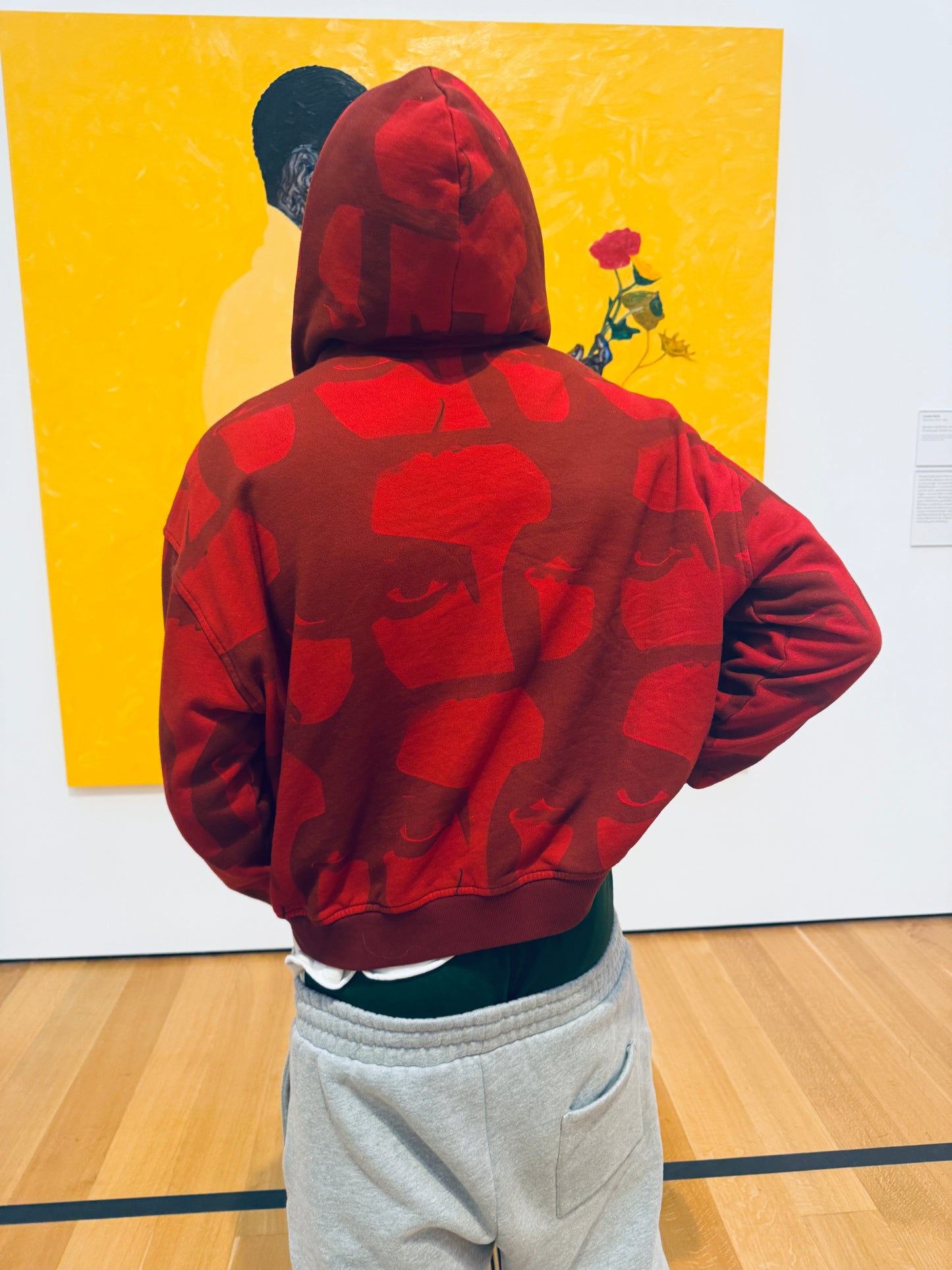 iSight Hoodie [Red]