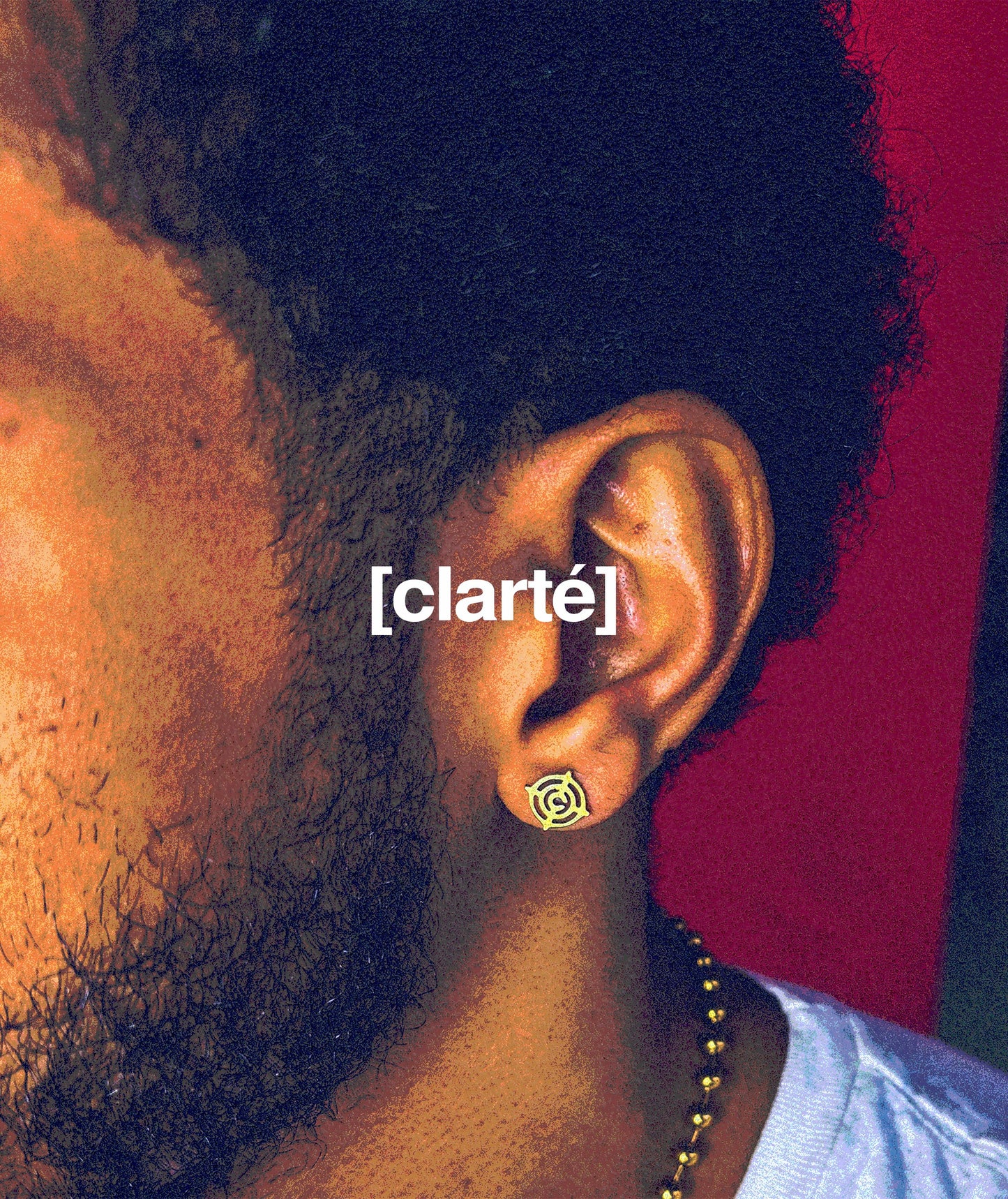 TGT EARRINGS